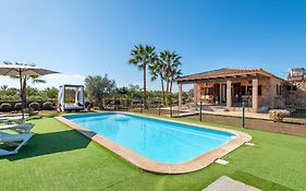 Ses Oliveres